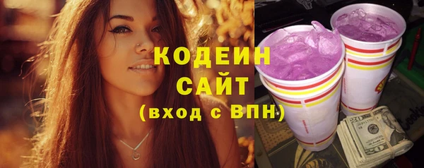 прущие крисы Пересвет