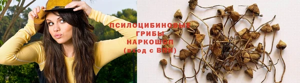 винт Переславль-Залесский