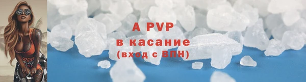 дживик Болхов