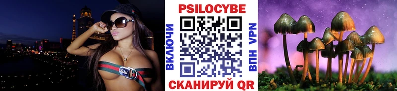 блэк спрут сайт  Лодейное Поле  Галлюциногенные грибы GOLDEN TEACHER 